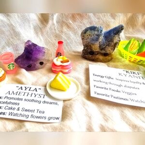 🫶 Pair of Crystal Pets 🔮 🪨 Amethyst and Kyanite 🤩